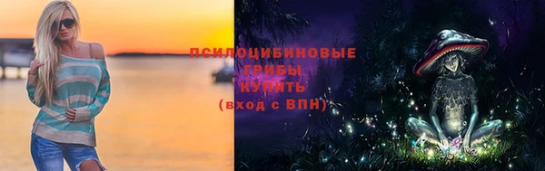 ПСИЛОЦИБИНОВЫЕ ГРИБЫ Киров