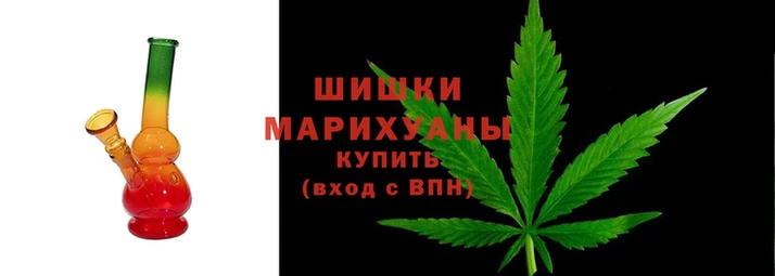 ПСИЛОЦИБИНОВЫЕ ГРИБЫ Киров