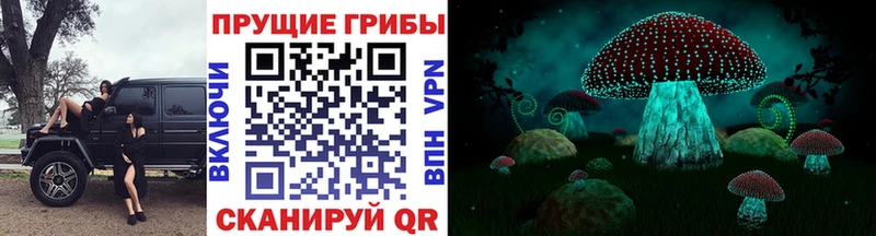 Псилоцибиновые грибы Magic Shrooms  Алзамай 