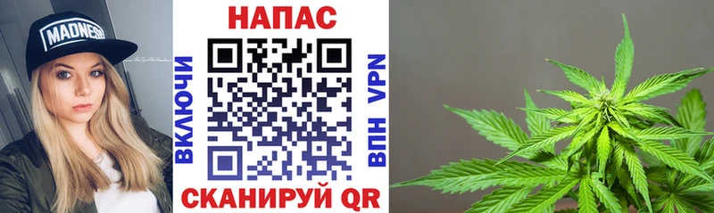 купить наркотик  Алзамай  Конопля семена 